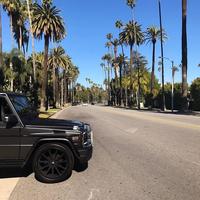 Отзыв от Виталий - виза ДТВ